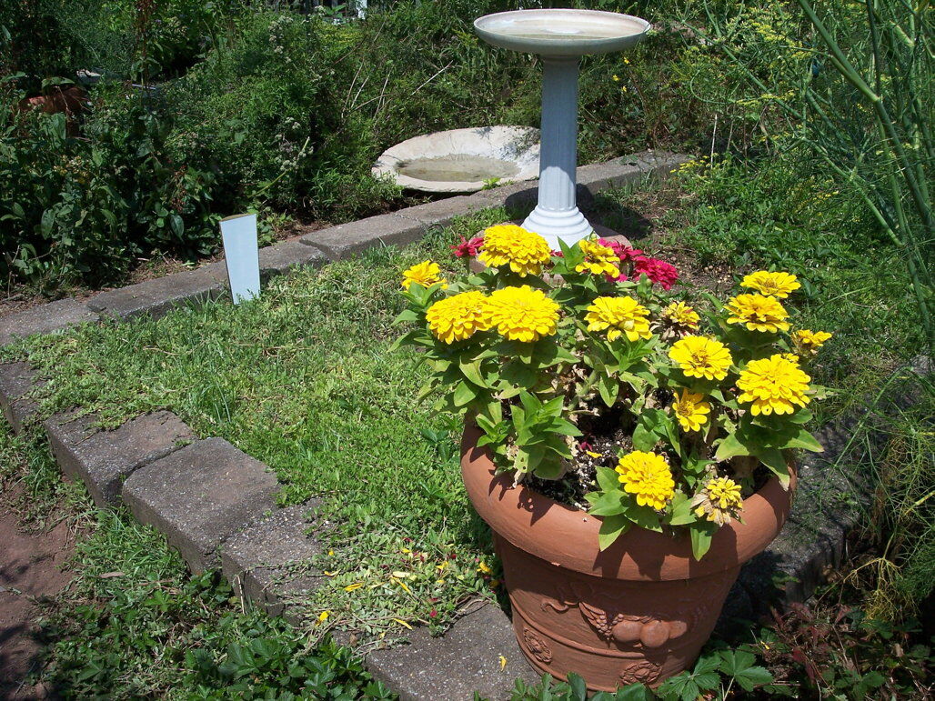 garden_03.jpg